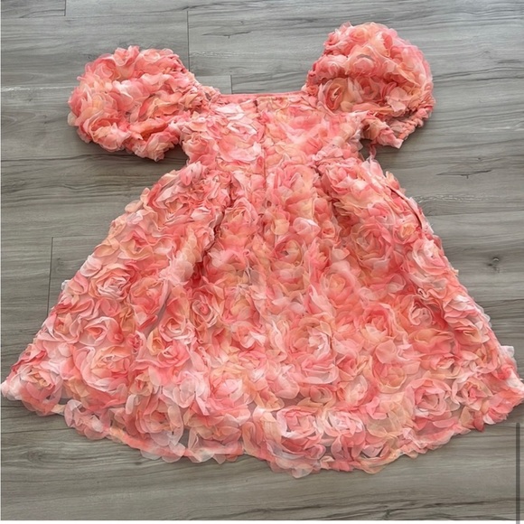 CES FEMME Dress Lace Ruffles Tule With Puff Sleeves Pink Size S - Picture 2 of 16